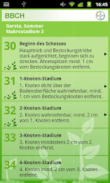 BBCH-Bestimmer poster 4