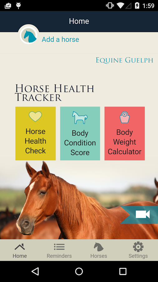 Horse Health Tracker - screenshot