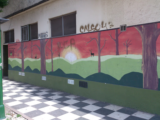Mural Ciervos Al Atardecer