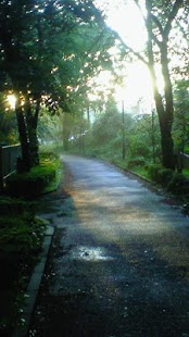 Test Optimization Tips w33 Screenshots 0