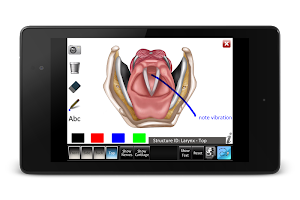 Larynx ID APK Screenshot Thumbnail #15