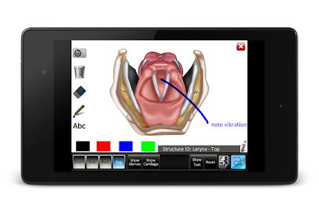 Larynx ID Screenshots 9