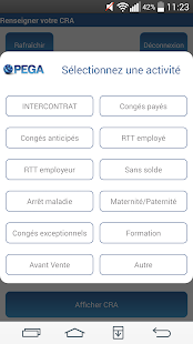 Pega CRA Screenshots 13