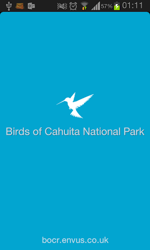 Birds of Cahuita National Park