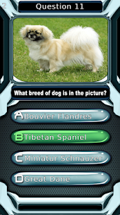 Dog Breed Animal Quiz Game Screenshots 12