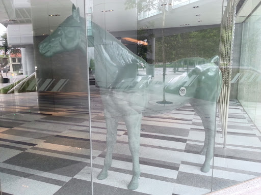 Khaki Horse In A Window