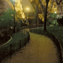 Lonely Road icon