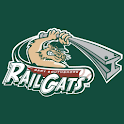 Gary Southshore Railcats logo
