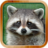 Kids Learn About Animals6.2