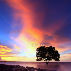 candle light by Double'u Photoworks - Landscapes Sunsets & Sunrises