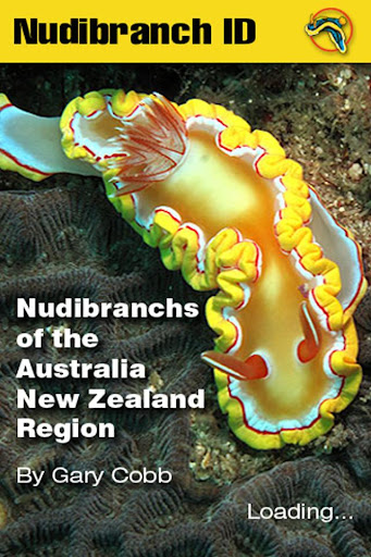 Nudibranch ID Australia NZ