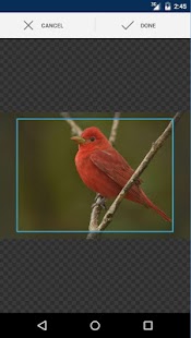 How to install Social Wallpapers 1.0.8 mod apk for bluestacks