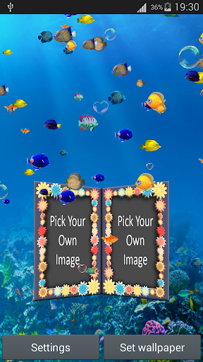 【免費生活App】Love Couple Photo Aqaurium Lwp-APP點子