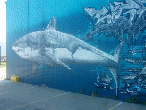 Great White Shark Mural 