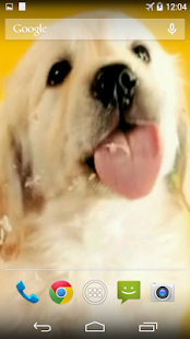 Puppy Licks Screen(圖2)-速報App