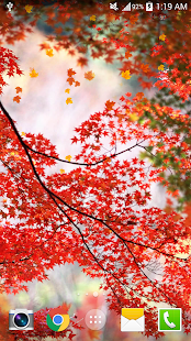 Download Maple Live Wallpaper PRO HD APK for Android