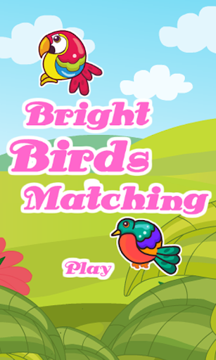 Bright Birds Matching