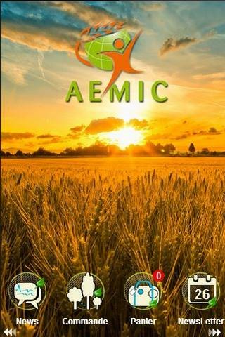 AEMIC