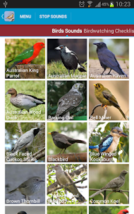 Australian Birds Sounds(圖2)-速報App