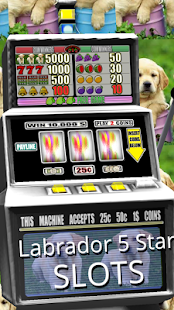 Free 3D Labrador 5 Star Slots APK