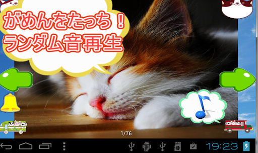 猫の声がいっぱい写真集かわいいネコ画像まとめ