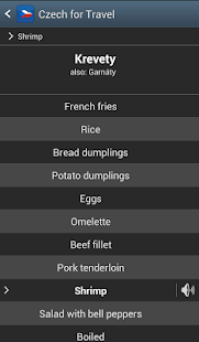 Czech for Travel Screenshots 3