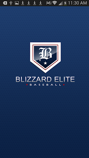 Blizzard Elite Baseball