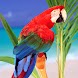 3D lovely Parrot 1