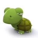 Turtle Photoframe icon