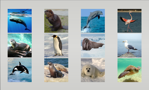 Animal sounds Screenshots 6