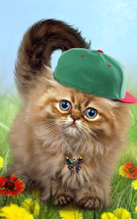 Download Fluffy Cat APK