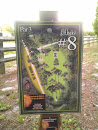 Hole #8 Plaque - Taylor Park Disc Golf Course