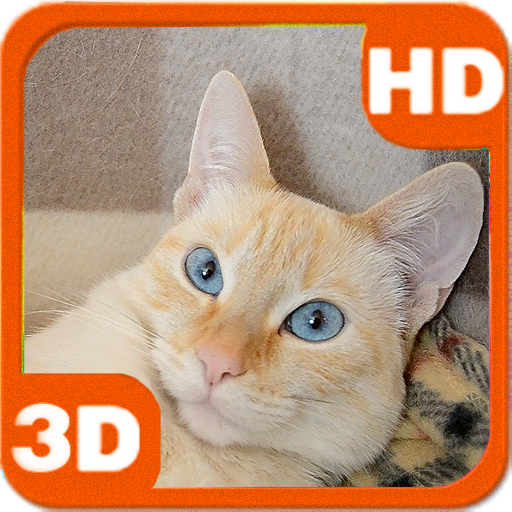 Awakened Cute Cat at Home LOGO-APP點子