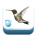 Open University News logo