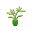 Plants Download on Windows