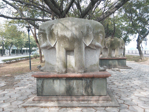 Twin Elephants  