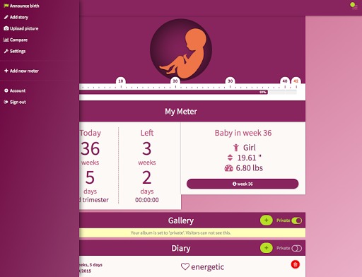 免費下載健康APP|Pregnancymeter app開箱文|APP開箱王