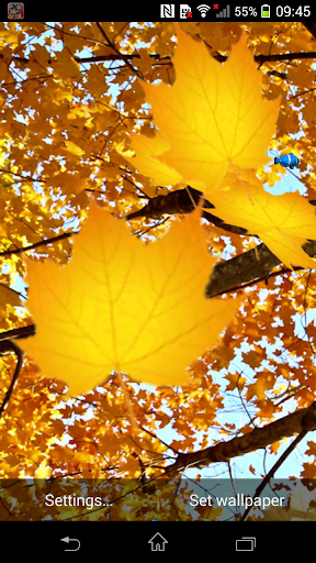 3D Leaf Falling Wallpaper