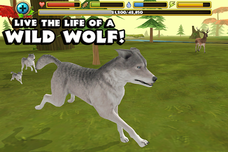 Wildlife Simulator: Wolf(圖1)-速報App