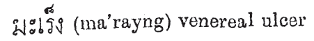 mareng1892.png