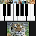 Baby Piano with Animal logo