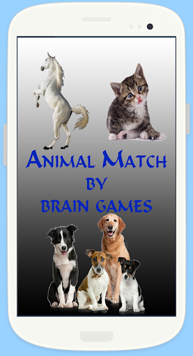 Animal Match Brain Game