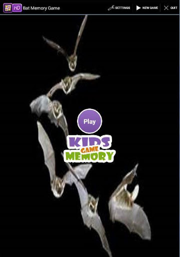 Bat Memory Game