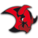 Saale Bulls – Fan App logo