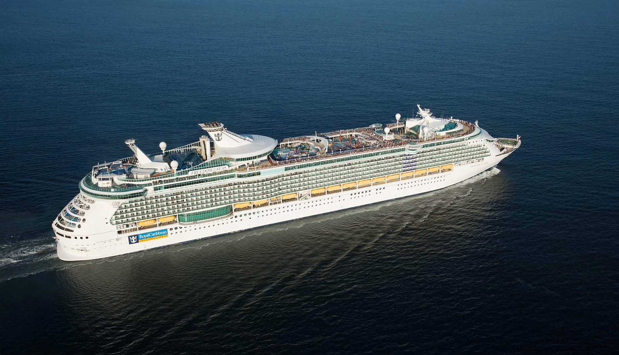 royal caribbean freedom of the seas cruise director