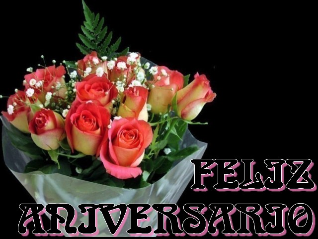 FELIZ+NIVER.jpg