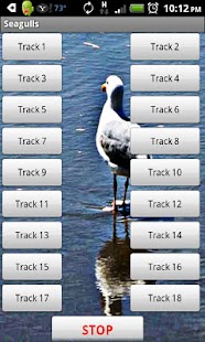 How to install Seagull 1.0 unlimited apk for laptop