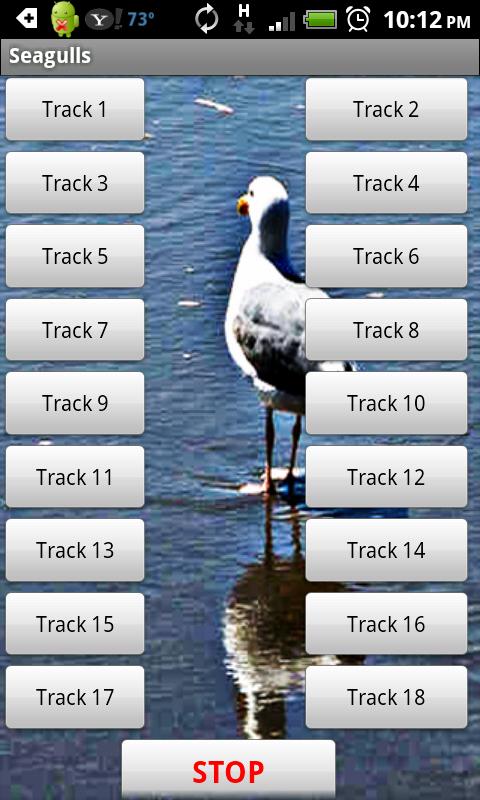 Android application Seagull screenshort