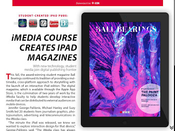 CCIM Reports poster 1