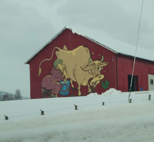 Woman Milking Cow Barn Mural